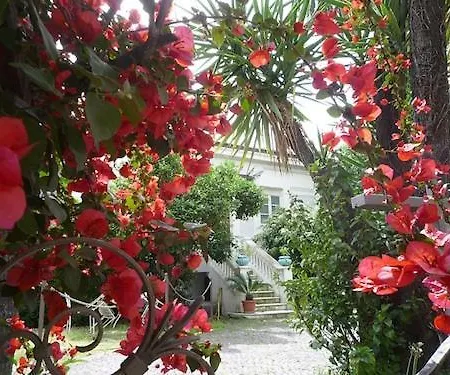 Loft La Nasse דירה