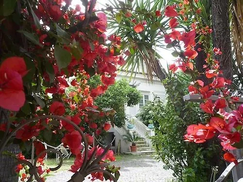 Loft La Nasse Apartment